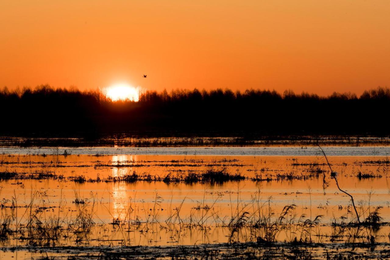 Domek W Otulinie Biebrzy Goniadz Exteriér fotografie