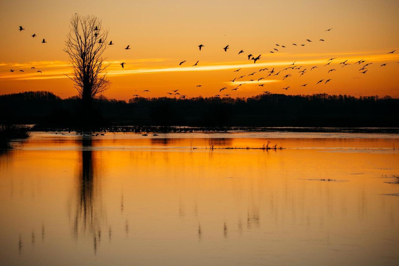 Domek W Otulinie Biebrzy Goniadz Exteriér fotografie